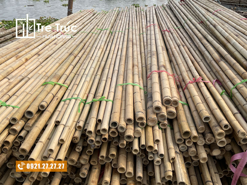 Nơi bán cây trúc khô nguyên liệu giá rẻ tại Sài Gòn