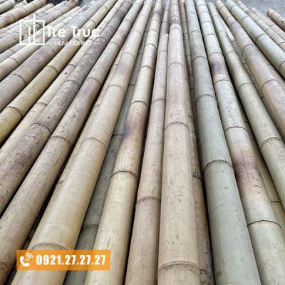 Bán cây trúc khô trang trí