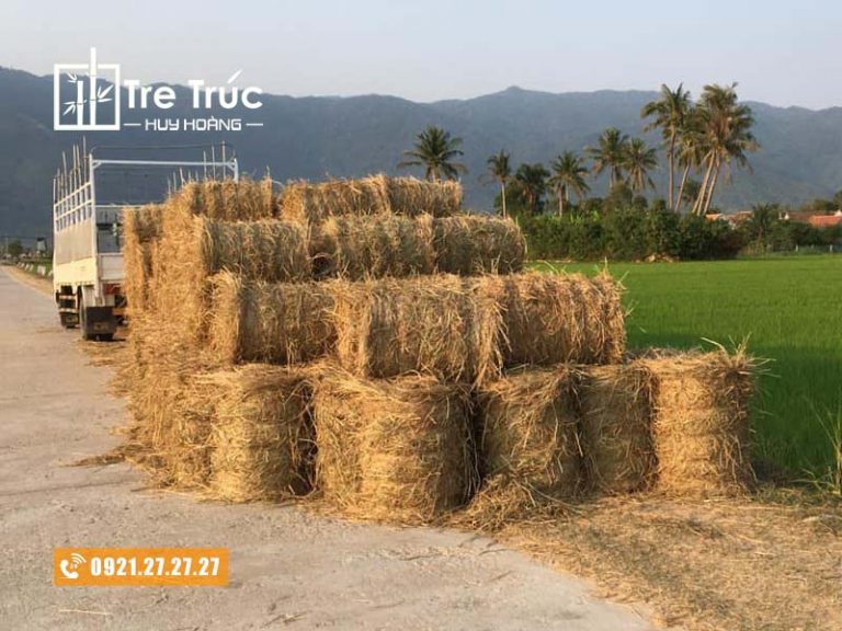 Địa chỉ mua bán rơm cuộn trang trí, rơm khô giá rẻ tại TP.HCM