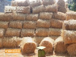 Đại lý bán rơm cuộn khô giá rẻ tại TPHCM