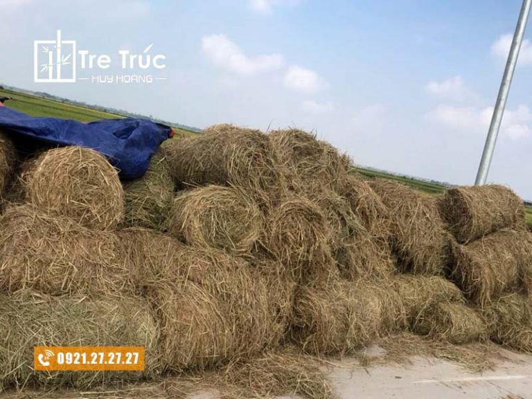 Địa chỉ mua bán rơm cuộn trang trí, rơm khô giá rẻ tại TP.HCM