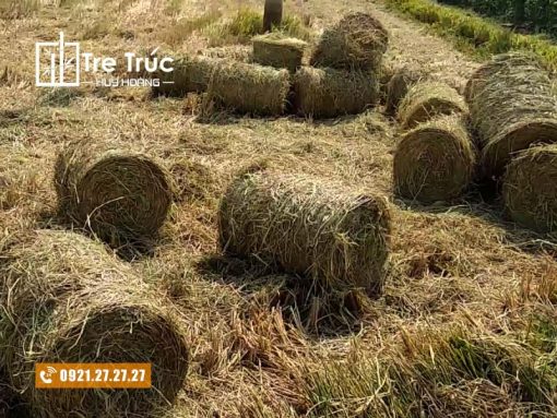 Địa chỉ mua bán rơm cuộn trang trí, rơm khô giá rẻ tại TP.HCM