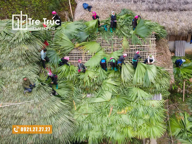 Lá cọ lợp nhà