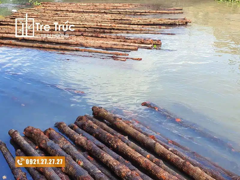 ban cay go duoc lam nha Bán cây gỗ đước làm nhà tại TPHCM