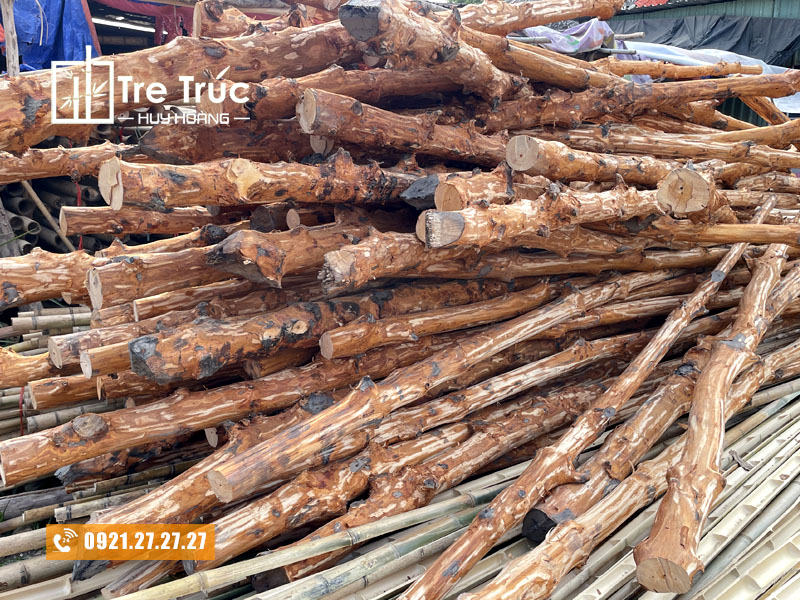 Bán cây gỗ đước làm nhà giá rẻ chất lượng tại TPHCM