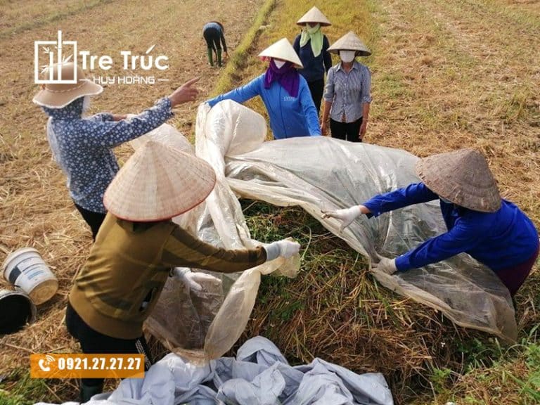 10+ ứng dụng tuyệt vời của rơm rạ trong đời sống