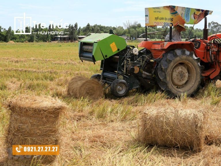 10+ ứng dụng tuyệt vời của rơm rạ trong đời sống