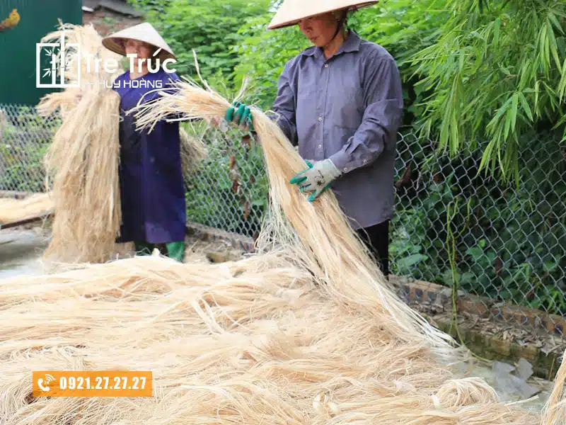 Phân loại xơ chuối