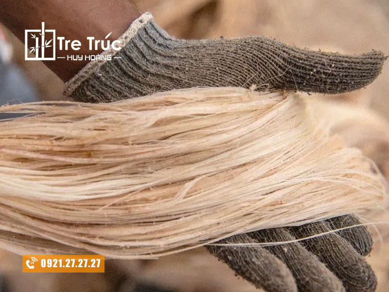 Tính chất vật lý sợi xơ chuối