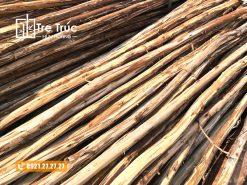 Gỗ cừ tràm lột vỏ