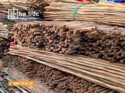 Gỗ bạch đàn lột vỏ trang trí