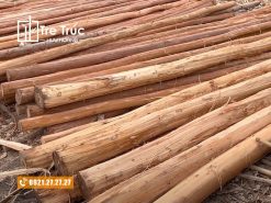 Gỗ bạch đàn lột vỏ trang trí